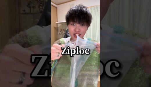 なんでこうなった､､ #shorts #検証 #ライフハック