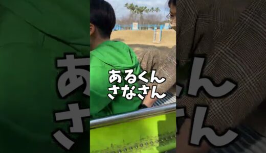 滑り台各種♫
