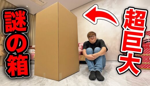 UUUMから謎の超巨大ダンボール届いて開封したら中身ヤバすぎ…