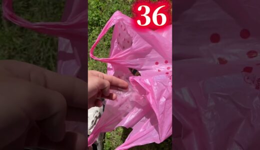 この動画は涙が止まりません…。#shorts
