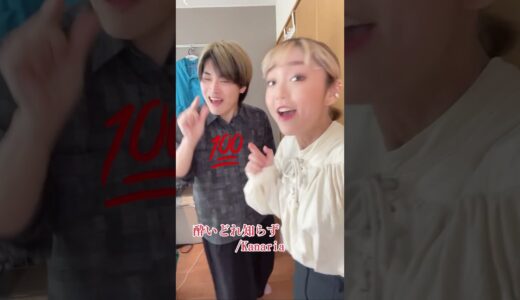 最後壊れたw【ハモり先行ゲーム】酔いどれ知らず 歌わせてみた