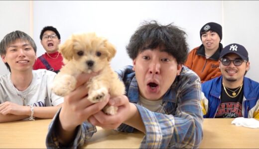 新しい家族が増えました。