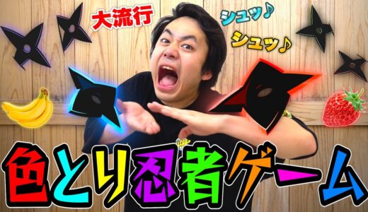 【大流行】色取り忍者ゲームをノリでやってみたら株のトレードで全員精神崩壊しましたwww