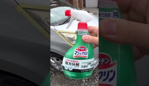 マジックリンすご〜 #shorts