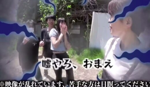 母がカメラ舐めるシーン集 #桐崎栄二 #切り抜き #母#カメラ#舐める