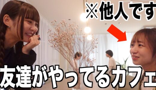 桐崎妹、ぼっちでタメ口で接客する『友達がやってるカフェ』へ行ってみた