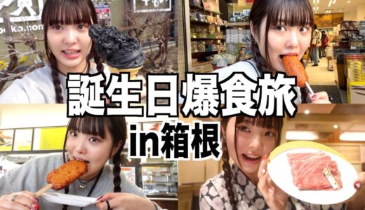桐崎妹、誕生日にぼっち爆食旅をするin箱根【後編】