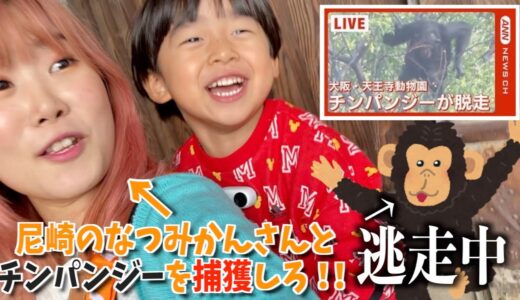 【緊急】脱走したチンパンジーをなつみかんさんと捕まえてみたwww【天王寺動物園】
