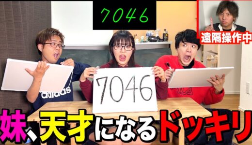 妹がフラッシュ暗算で日本一レベルの実力だったら兄と弟はどんな反応をするのか検証した。数字依存症