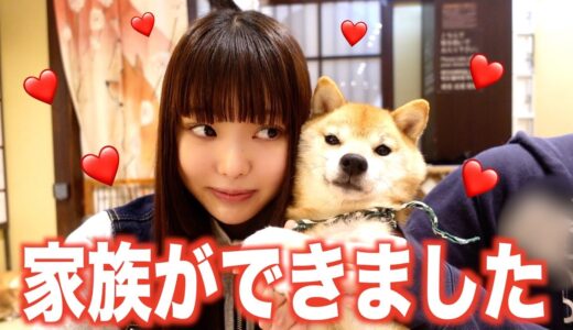 【ご報告】桐崎妹に家族ができました！！