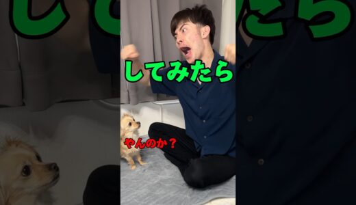 地球人の93%が大泣きする激クサソング。#shorts