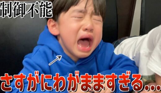 不機嫌すぎる三男の暴走は止まらず…もうやばい…【カルタ対決後編】