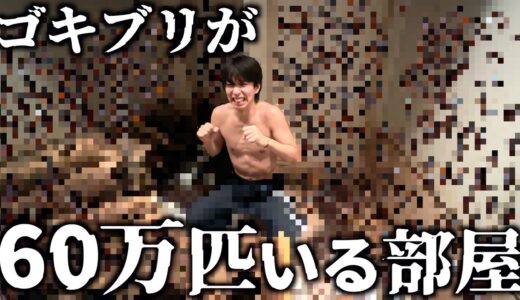 【閲覧注意】ゴキブリが60万匹いる部屋があるらしいので入ってみたwwwww