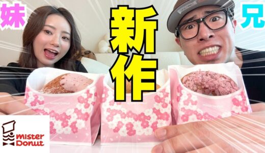 【検証】兄妹喧嘩して直ぐに無理矢理カメラ回して兄は撮影中に妹の機嫌直せるのか⁉︎
