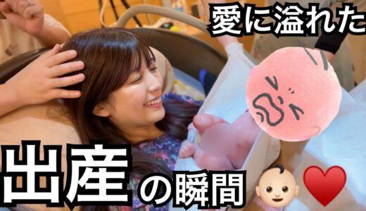 【ご報告】シルクとゆんの赤ちゃんが産まれました。