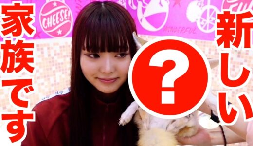 桐崎妹 新しい家族を見つけます！！！